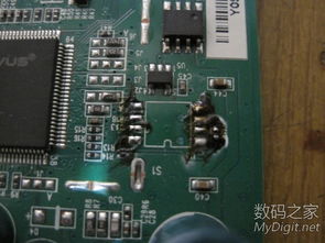 中興光貓固件升級(jí)與硬件銷售 電腦軟硬派的技術(shù)融合與市場機(jī)遇